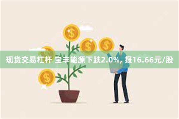 现货交易杠杆 宝丰能源下跌2.0%, 报16.66元/股