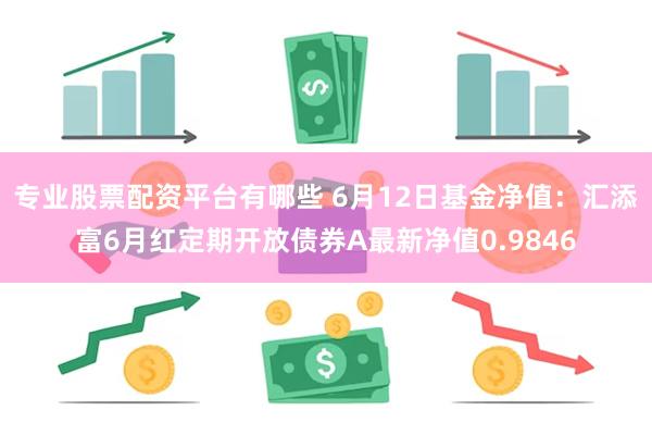 专业股票配资平台有哪些 6月12日基金净值：汇添富6月红定期开放债券A最新净值0.9846