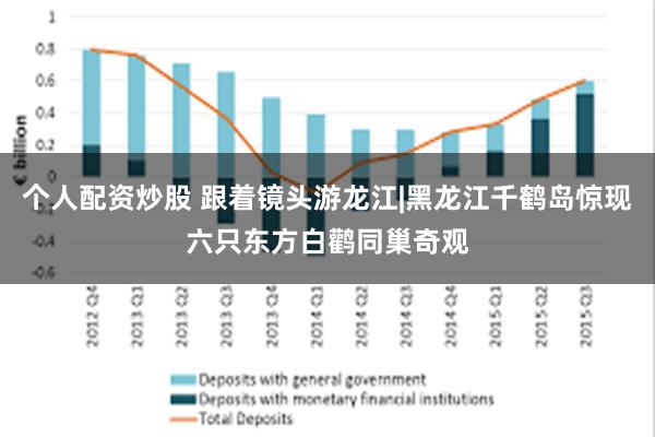 个人配资炒股 跟着镜头游龙江|黑龙江千鹤岛惊现六只东方白鹳同巢奇观