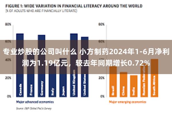 专业炒股的公司叫什么 小方制药2024年1-6月净利润为1.19亿元，较去年同期增长0.72%