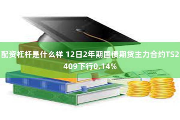 配资杠杆是什么样 12日2年期国债期货主力合约TS2409下行0.14%