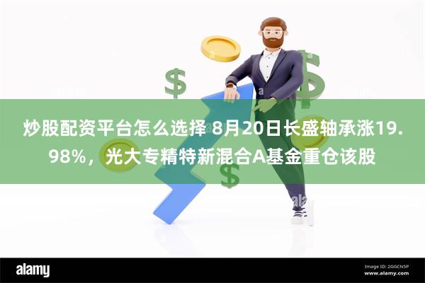 炒股配资平台怎么选择 8月20日长盛轴承涨19.98%，光大专精特新混合A基金重仓该股