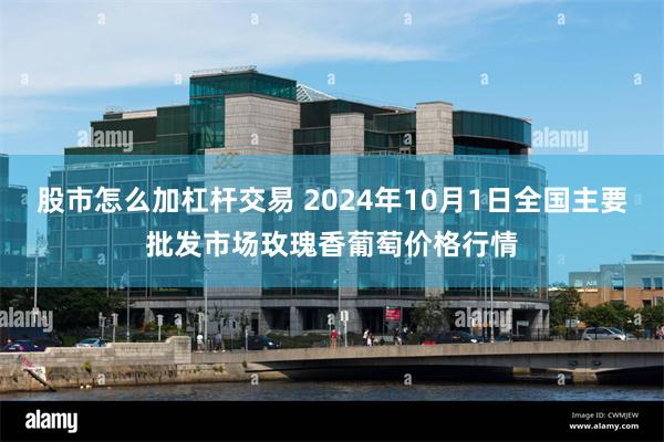 股市怎么加杠杆交易 2024年10月1日全国主要批发市场玫瑰香葡萄价格行情