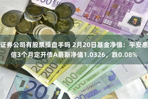 证券公司有股票操盘手吗 2月20日基金净值：平安惠信3个月定开债A最新净值1.0326，跌0.08%