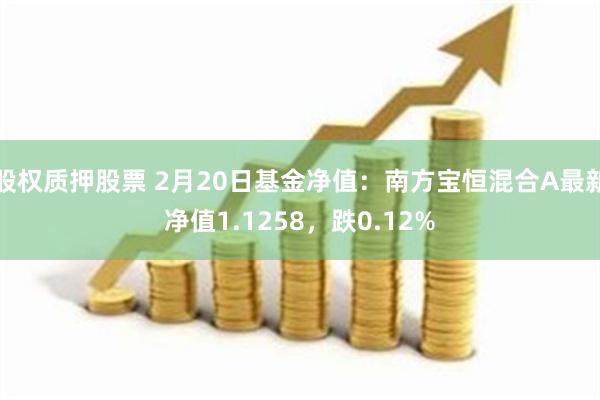 股权质押股票 2月20日基金净值：南方宝恒混合A最新净值1.1258，跌0.12%