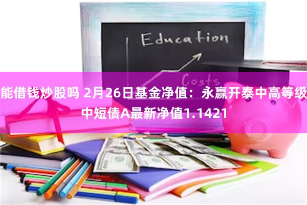 能借钱炒股吗 2月26日基金净值：永赢开泰中高等级中短债A最新净值1.1421